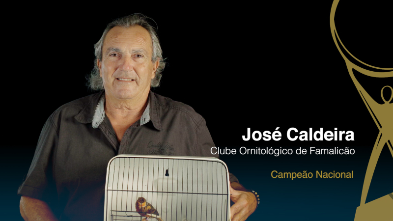 José Caldeira